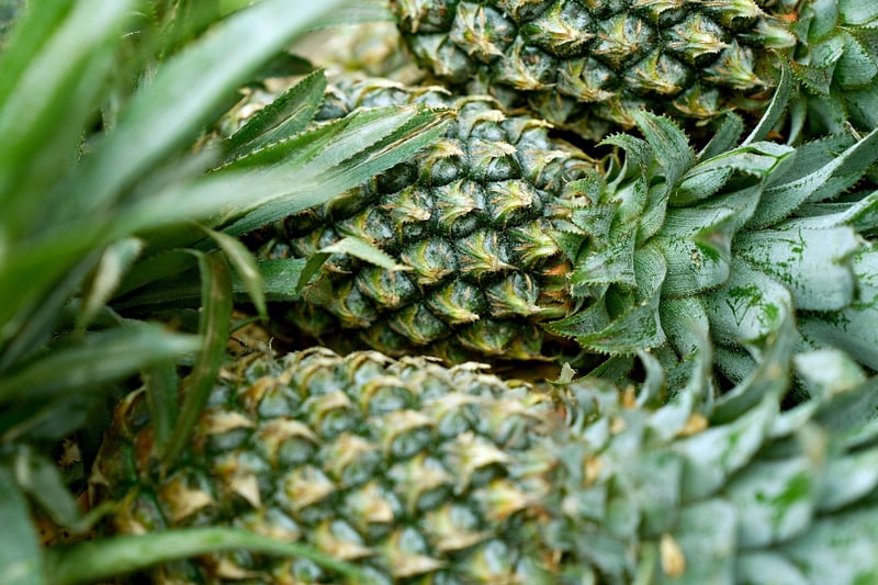 Pineapple-Jalapeno Salsa